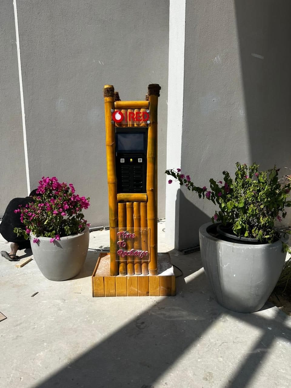 A bamboo charging station between two large planters of bougainvillea against a plain wall